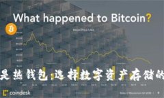 冷钱包还是热钱包：选择